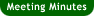 Meeting Minutes